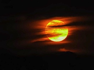 Joyce 002 Blue Moon 08312023 (4).jpg